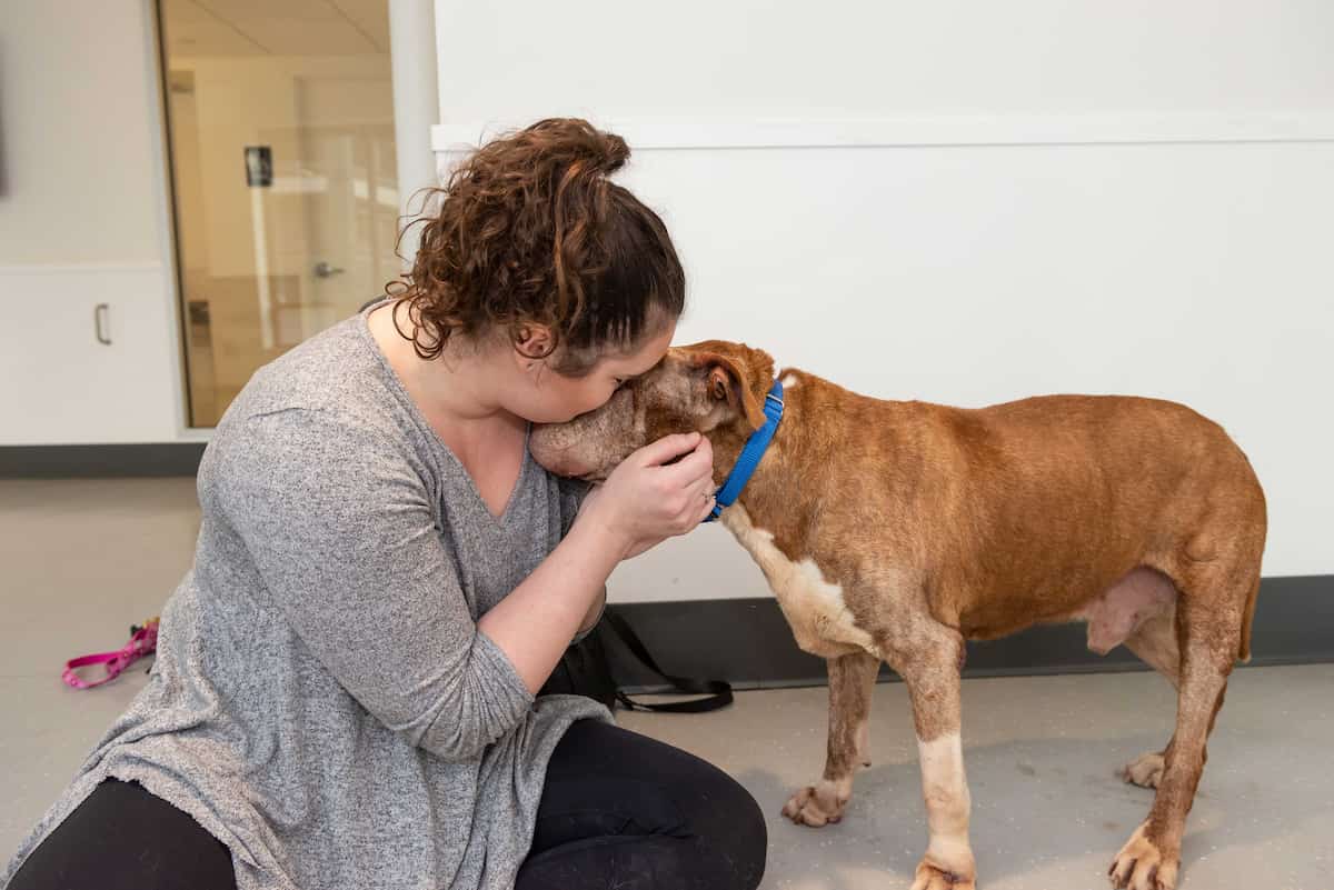 A woman holds her adopted dog affectionately. A woman holds her adopted dog affectionately.